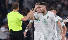 开云体育在线-爱尔兰队获得关键胜利，稳固晋级位置