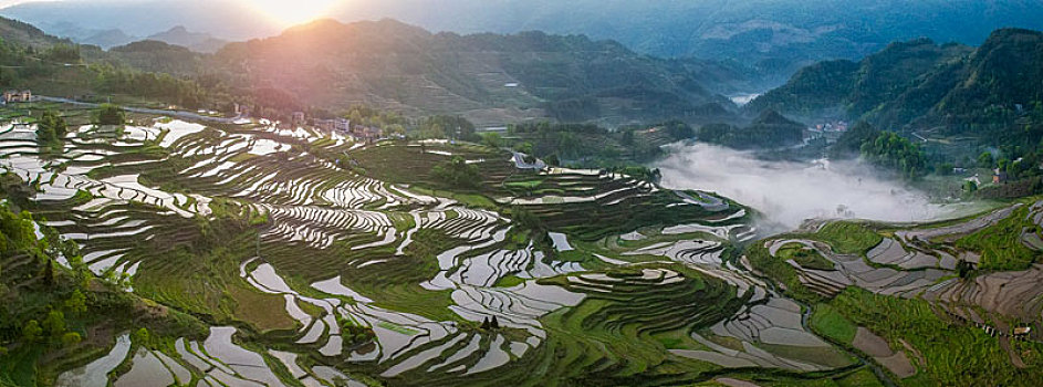 包含呼和浩特青巴布虎对决重庆稻田，实力对比明显的词条